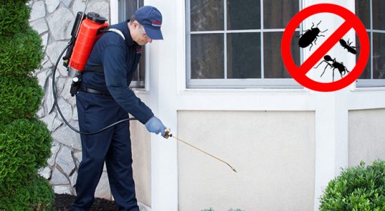 Yağlıdere Böcek ve Haşere İlaçlama böcek ilaçlama ve haşere kontrolü — ilaclama-tr.com